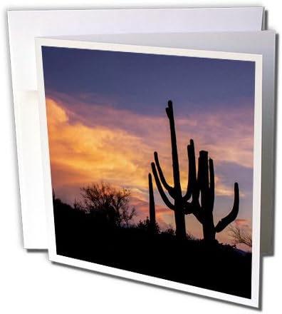 3dRose Arizonai Tucson, Saguaro Nemzeti Park West, Sziluett, a Kaktuszok - üdvözlőlap, 6 x 6, Egységes (gc_250538_5)