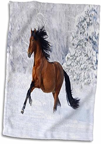 3dRose Florence Állatok kép az Andalúziai ló vágtatott a hó - Törölköző (twl-171623-3)
