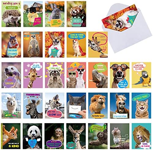 60 Beállítani Üdvözlőlapok Meghatározott Borítékok Hála Üres Dobozos Állat Megjegyzés Kártyák Vicces Állítás Kártyák Elismerést
