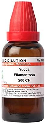 Dr. Willmar a Csomag India Yucca Filamentosa Hígítási 200 CH Üveg 30 ml Hígító